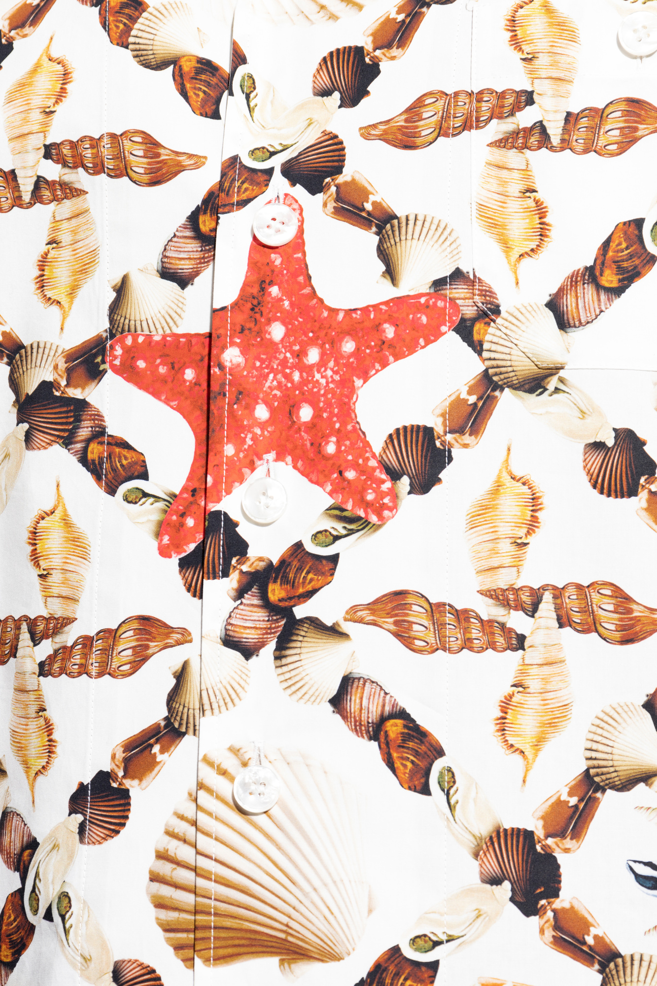 Multicolour Shirt with a seashell motif Dolce & Gabbana